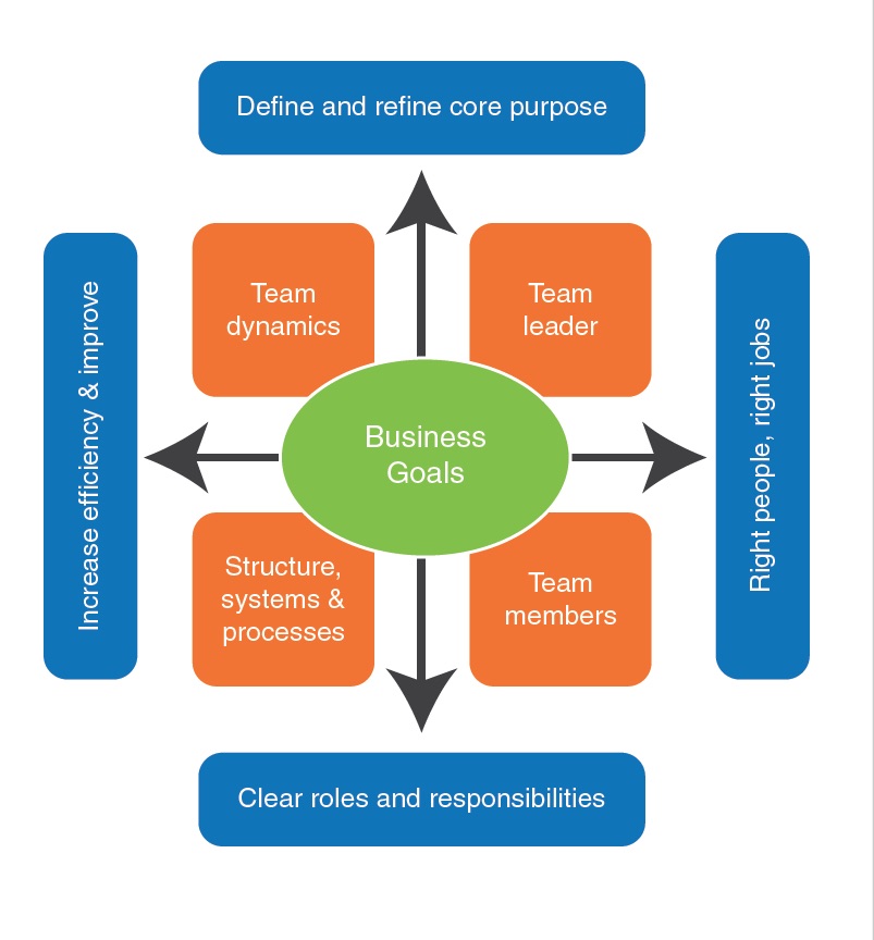 High performing team model