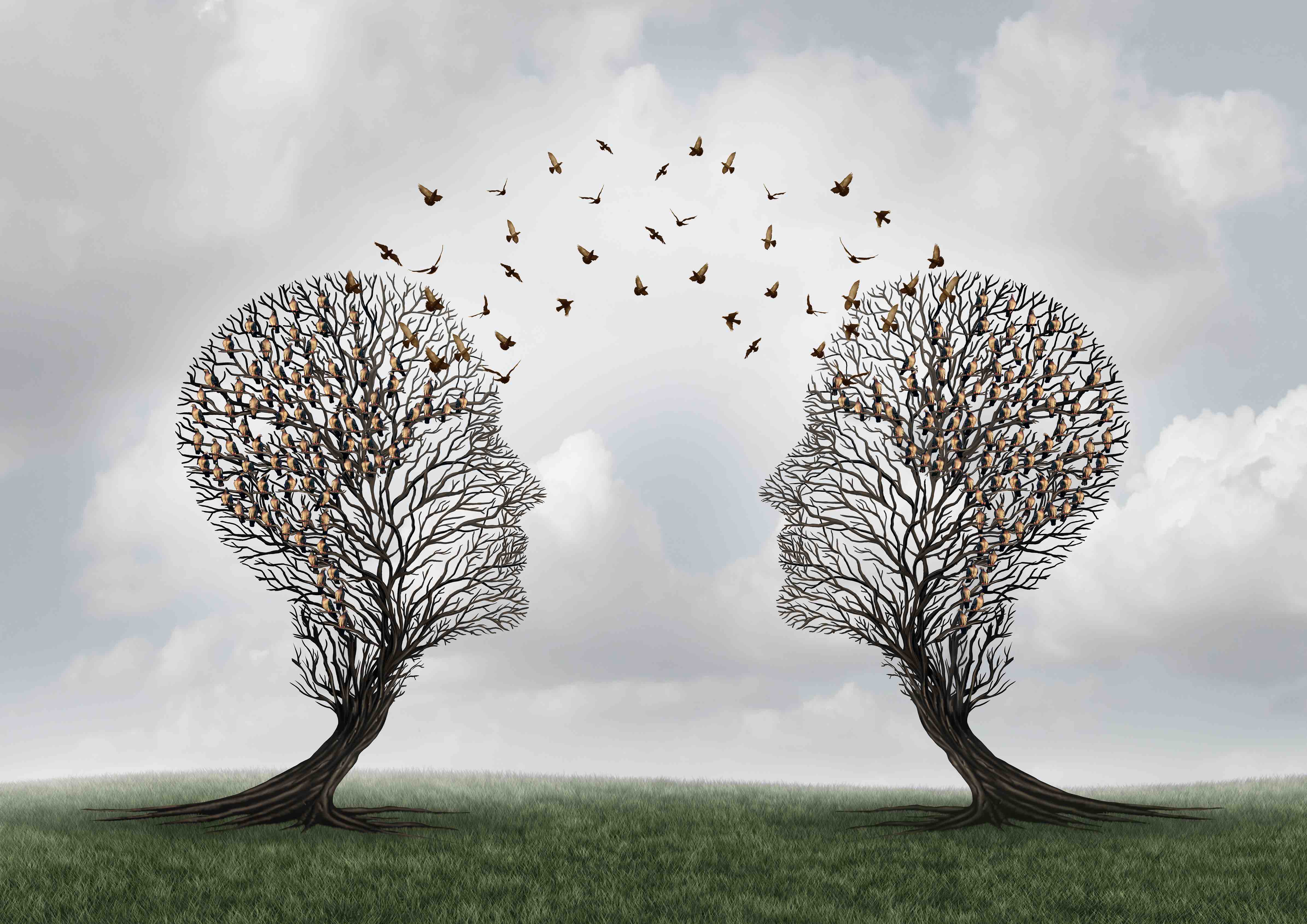 Concept of communication and communicating a message between two head shaped trees with birds perched and flying to each other as a metaphor for teamwork and business or personal relationship with 3D illustration elements.