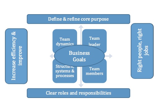What makes a high performing team